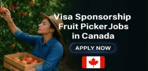 Visa Sponsorship Fruit Packing Jobs in Canada 2026